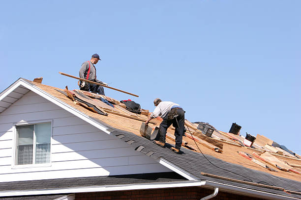 Best Roof Leak Repair  in Newton Falls, OH